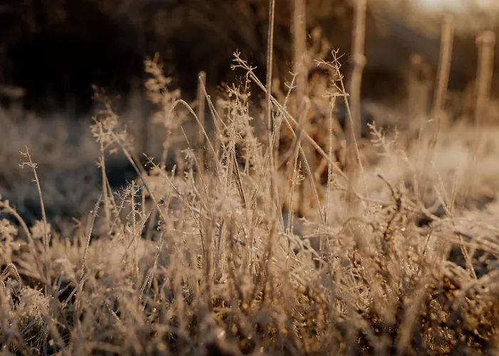 Flowfort - Riesengebirgsblick Wellness By Interhome Wojcieszyce